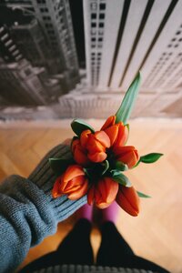 Tulip hand jacket photo