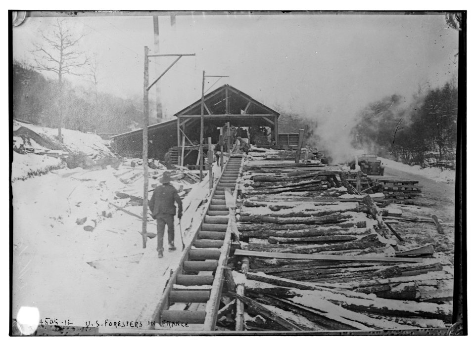 U.S. Foresters in France LCCN2014706446