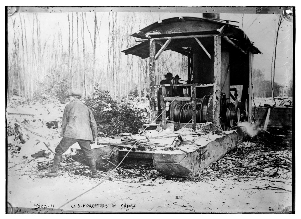 U.S. foresters in France LCCN2014706428