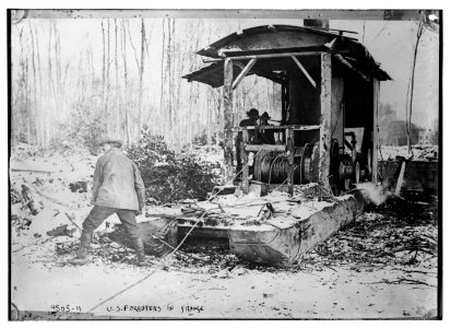U.S. foresters in France LCCN2014706428