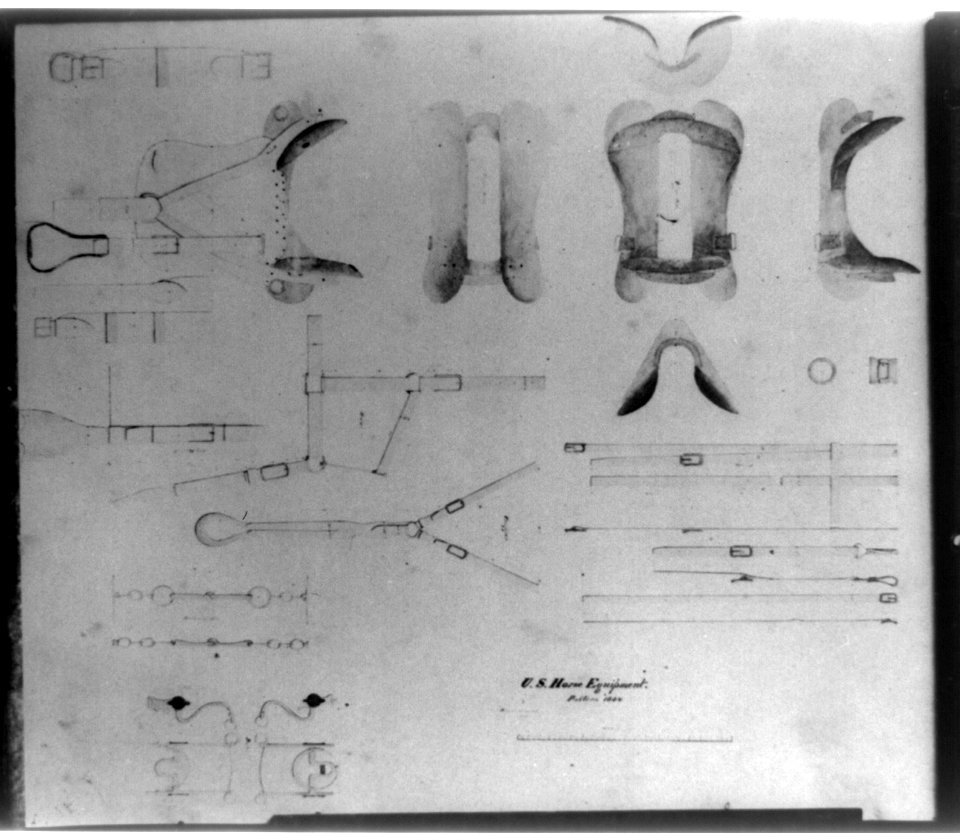 U.S. horse equipment Pattern 1854. LCCN2009631510