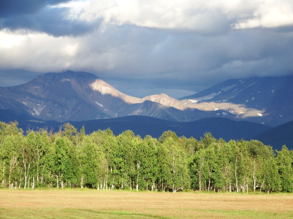 Nature summer landscape