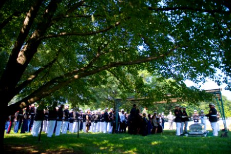U.S. Marine Corps Sgt. Julian Kevianne Funeral at Arlington National Cemetery (35955538240)