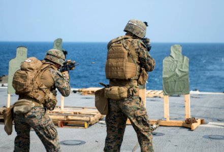 U.S. Marines assigned to Battalion Landing Team, 2nd Battalion, 5th Marine Regiment, 31st Marine Expeditionary Unit (MEU) participate in a live-fire exercise aboard the amphibious transport dock ship USS Denver 140319-N-ZU025-192