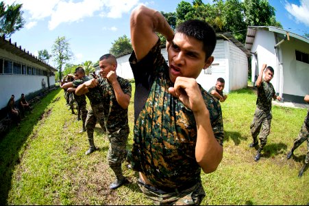 U.S. Marines assigned to a landing attack subsequent operations team conduct a combat conditioning exchange with Guatemalan marines as part of U.S. Marine Corps Martial Arts Program training during Southern 140819-N-XQ474-035