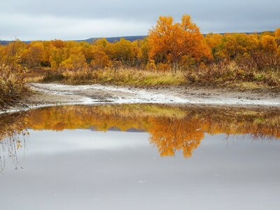 The roads leaves rain photo