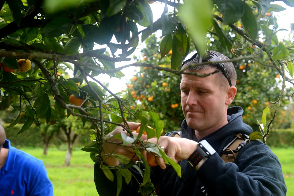 U.S. Marine Corps Staff Sgt. William Negahnquet picks oranges while participating in a community relations event in Lisbon, Portugal, Feb. 28, 2014, during a port visit of the amphibious assault ship USS Bataan 140228-N-MW280-241