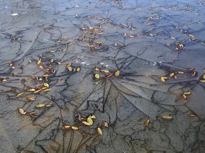 Frost autumn autumn nature