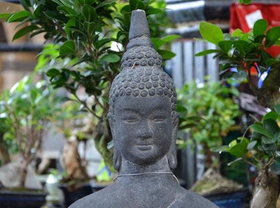 Meditation statue buddhist photo