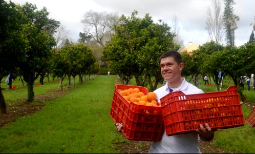 U.S. Navy Lt. Hardy Owens carries crates of oranges out of an orchard while participating in a community relations event in Lisbon, Portugal, Feb. 28, 2014, during a port visit of the amphibious assault ship USS 140228-N-MW280-283