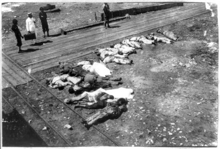 U.S. Navy in action at Vera Cruz, Mexico, 1914- 20 dead Mexicans laid out by railroad tracks LCCN2006685920