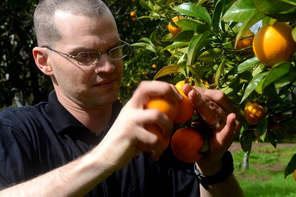 U.S. Navy Hospital Corpsman 1st Class Justin Mullins picks oranges while participating in a community relations event in Lisbon, Portugal, Feb. 28, 2014, during a port visit of the amphibious assault ship USS 140228-N-MW280-205