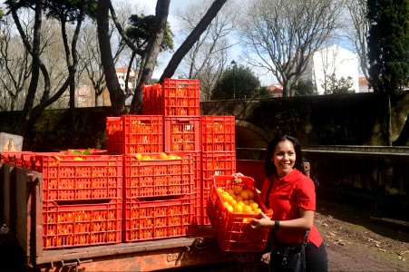 U.S. Navy Interior Communications Electrician 1st Class Jessica Lopez stacks a crate of oranges on a truck while participating in a community relations event in Lisbon, Portugal, Feb. 28, 2014, during a port 140228-N-MW280-319