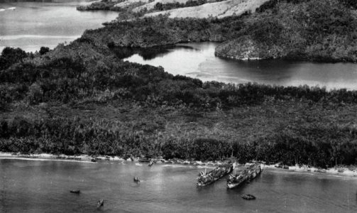 U.S. Navy tank landing ships during the landings at Hollandia, New Guinea, 22 April 1944