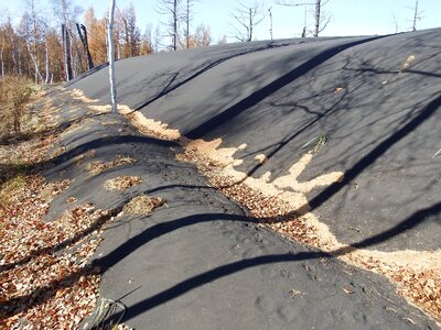 Sand mound forest shadow photo