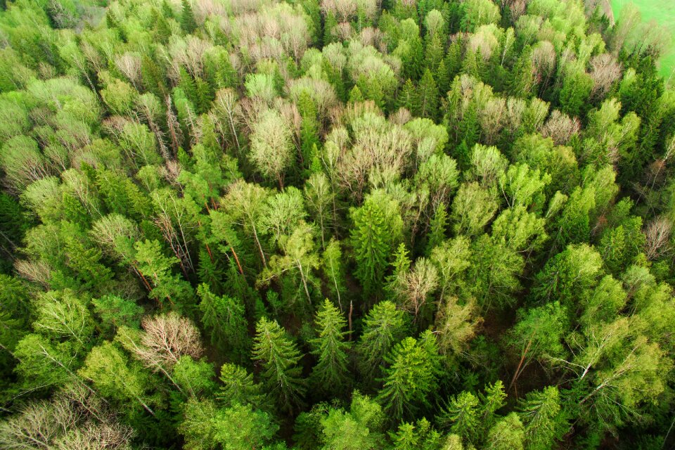 Nature aerial view