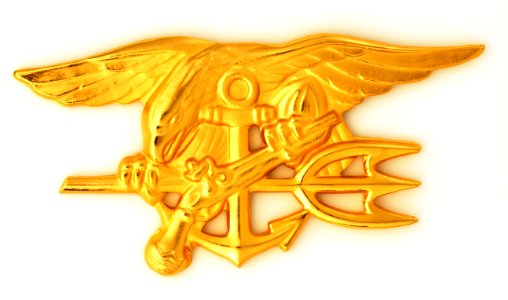 U.S. Navy SEALs Special Warfare insignia
