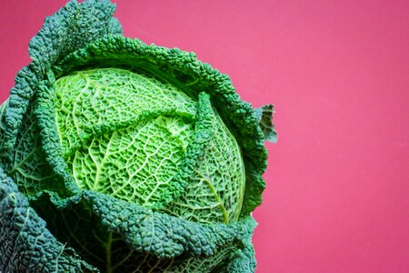 Winter vegetables vegetable plant savoy cabbage