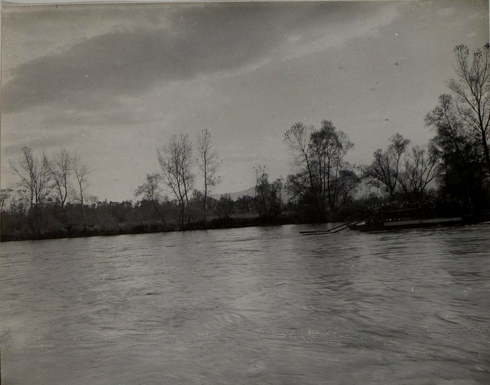 Ueberschiffung von Truppen der 59.JTD. November 1915. Cukojevac an der Morava. (BildID 15454342)
