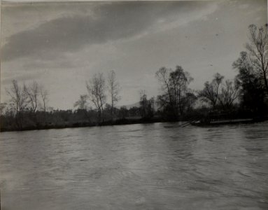 Ueberschiffung von Truppen der 59.JTD. November 1915. Cukojevac an der Morava. (BildID 15454342)