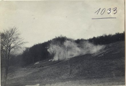 Uebungskurs Rohatyn. Handgranatenfeuer im Angriff. (BildID 15728175)