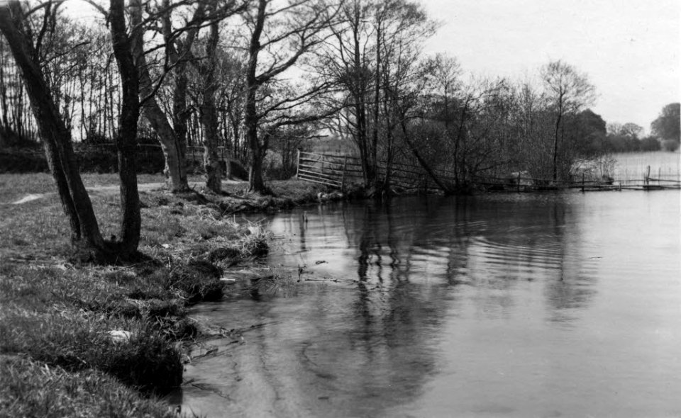 Ufer am Stocksee bei Sande (Kiel 70.248)