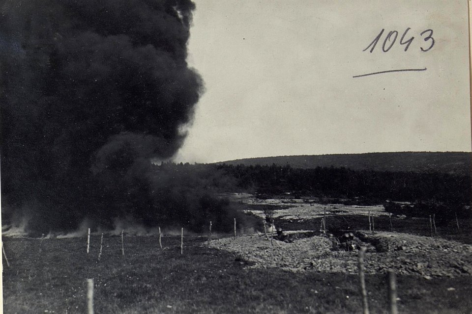 Uebungskurs Rohatyn. Flammenwerfer im Angriff c) (BildID 15728245)