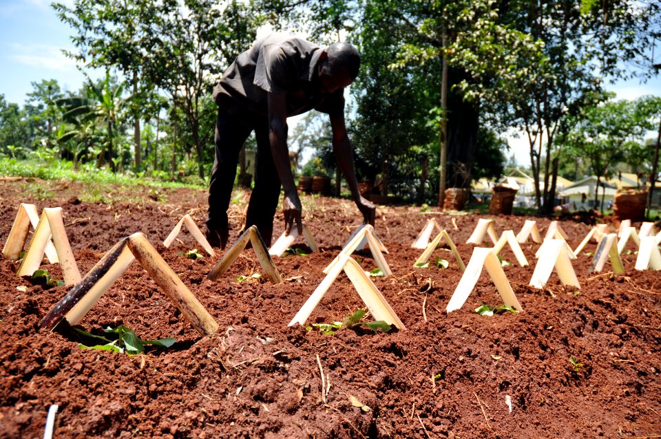 Uganda Nutrition (40911012155)