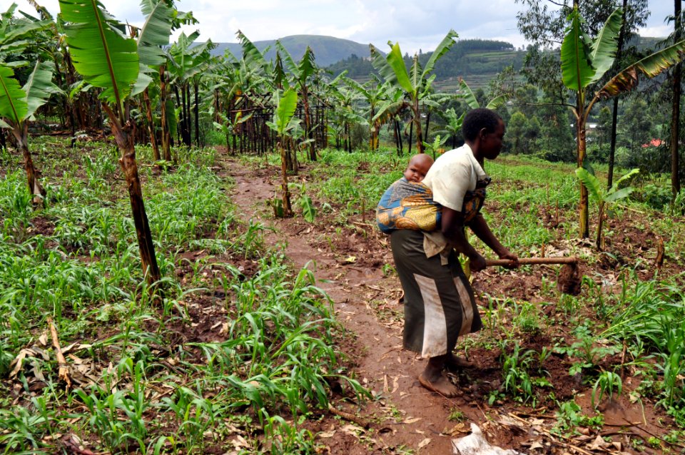 Uganda Nutrition (40911002945)