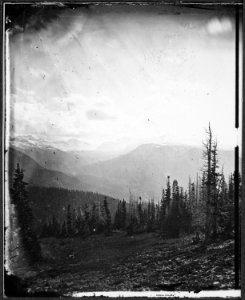 Uinta Mountains, head of Black's Fork. Summit County, Utah - NARA - 517407