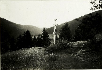 Ukrainer Kreuz am Fuße der Pliszka. (BildID 15433477)