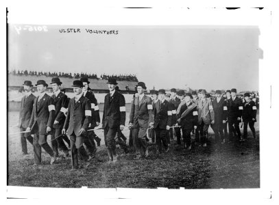 Ulster Volunteers LCCN2014695677