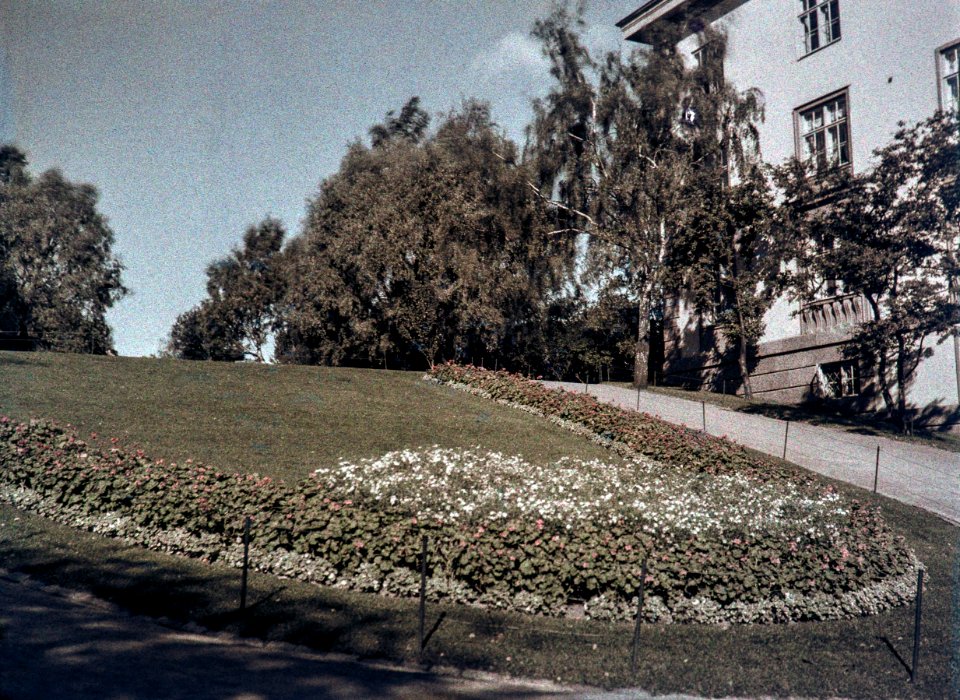 Ullan puistikko - XLVIII-1618 - hkm.HKMS000005-km0000mtaj