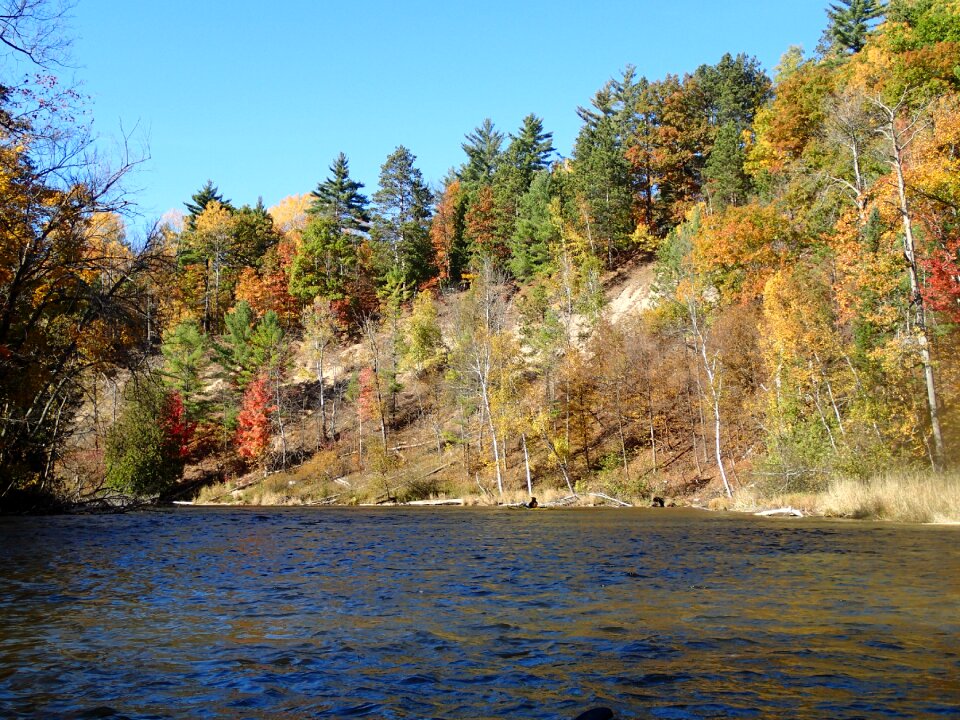 Landscape outdoor stream