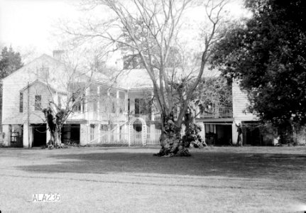 Umbria Plantation 04