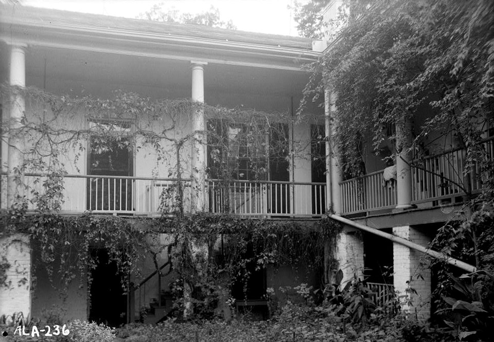 Umbria Plantation 05