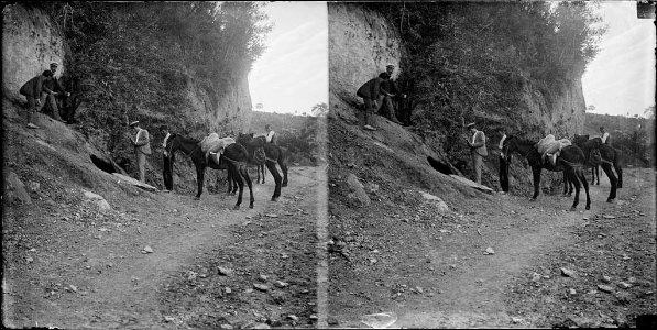 Un grup d'homes amb ases d'excursió a la muntanya