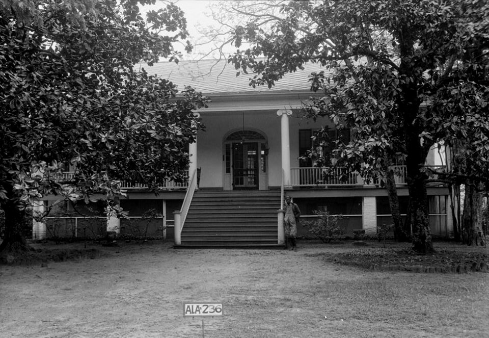 Umbria Plantation 01