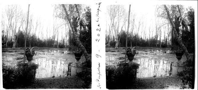 Un altre cop a l'estany de Santa Perpètua de Mogoda