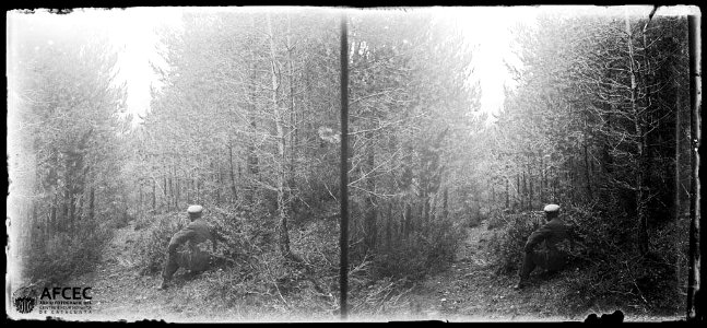 Un home al costat d'un camí al bosc de Ribes