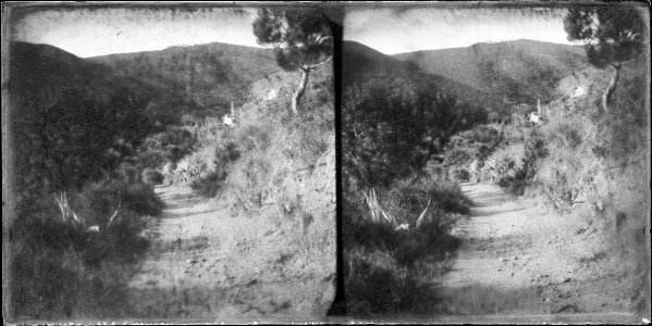 Un camí al bosc de Sant Genís dels Agudells