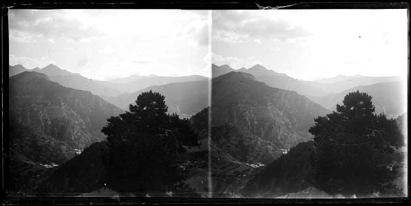 Un arbres i muntanyes de la zona de Canillo des d'Ordino