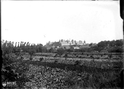 Un camp amb un home treballant i al fons la ciutat fortificada de Carcassona