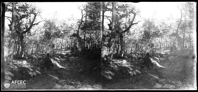 Un home assegut vora un camí enmig d'un bosc prop d'un coll a Llanera