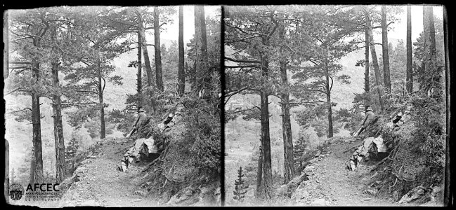 Un home en un camí al bosc de Ribes