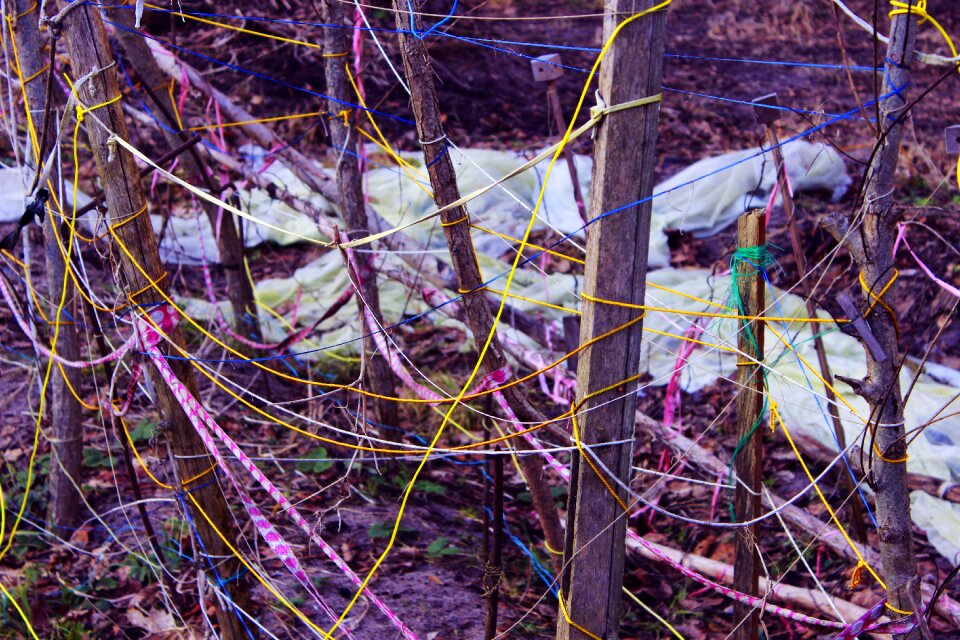Winter nervous nervous system