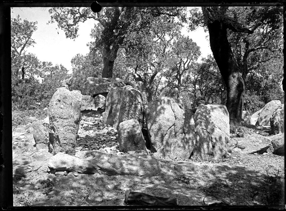Un dolmen envoltat d'arbres