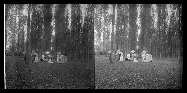 Un grup familiar en un bosc