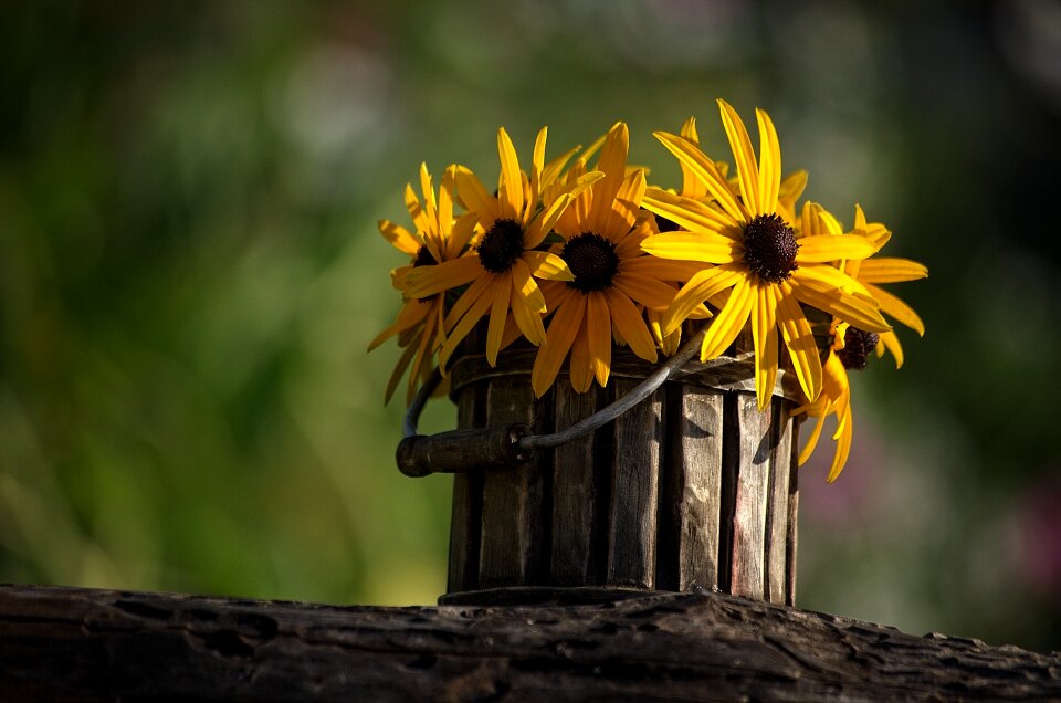 Plant flowerpot ceramic