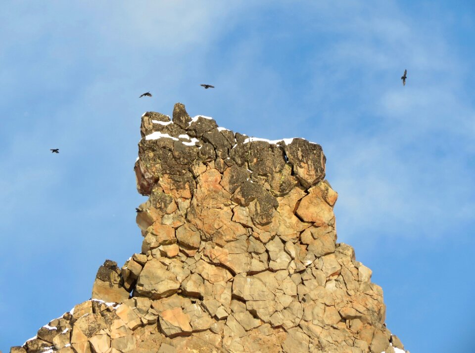 Birds height flight photo